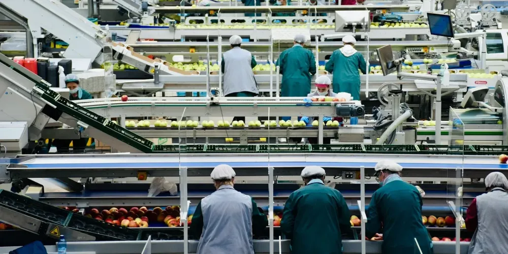 В Кыргызстане за 2025 год открыли 63 агропредприятия и выпустили продукции на 94 млрд сомов изображение публикации