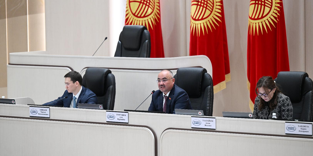 Спикер ЖК призвал исполнительную власть прекратить критиковать депутатов изображение публикации