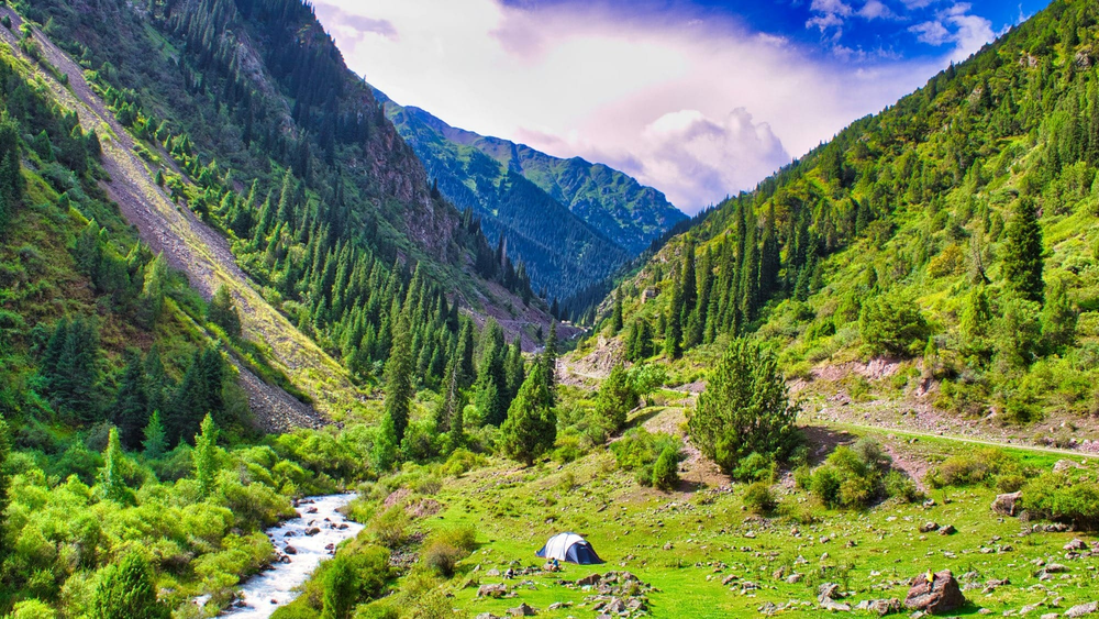 Минприроды КР вводит единые правила учета въезда и оплаты за посещение заповедников изображение публикации