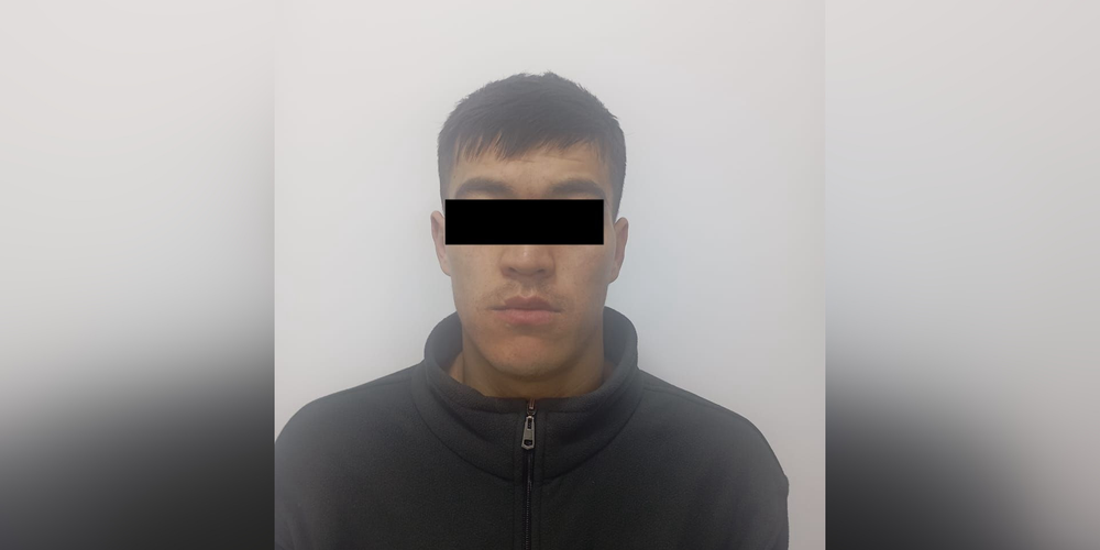 Проиграл стадо в онлайн-казино: задержан скотник, растративший 3.7 млн сомов изображение публикации