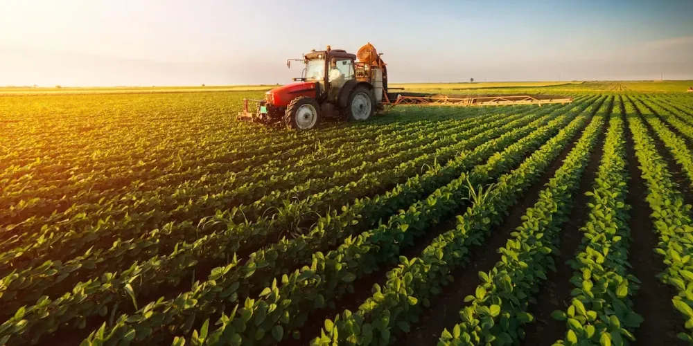 Кабмин выделил 2.4 млрд сомов на проект «ФСХ-14» изображение публикации