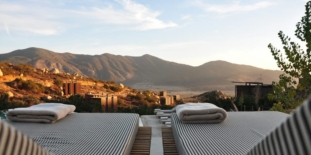 Рекордные 73.3 млрд сомов: рынок HoReCa вырос в семь раз за 15 лет изображение публикации