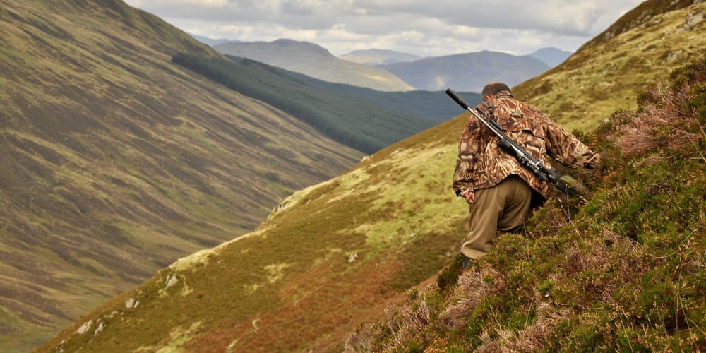 Минприроды КР выставило на конкурс 2.29 млн га охотничьих угодий в Иссык-Кульской области изображение публикации