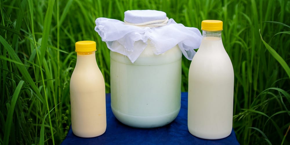 Молочная продукция, сахар и мясо подешевели: январский индекс продовольственных цен ФАО изображение публикации