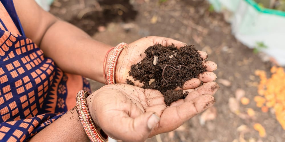 Кыргызстан на полгода запретил экспорт удобрений изображение публикации