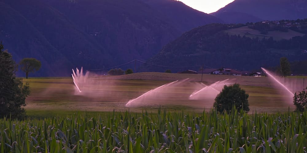 В Сокулуке к весенним работам подготовили 38 тысяч га — Торобаев проверил изображение публикации