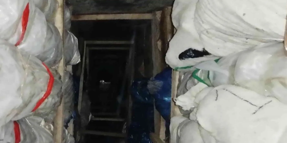 Россельхознадзор заблокировал ввоз 143 тысяч саженцев из Кыргызстана изображение публикации