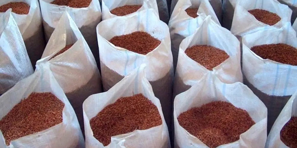 В Казахстане раскрыли схему контрабанды биоресурсов по фиктивным документам из КР изображение публикации