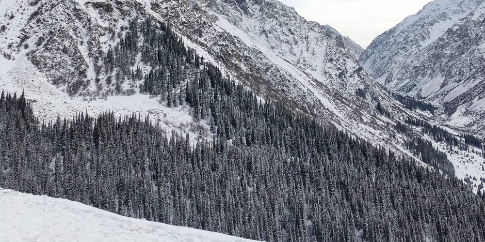 Доходы от экотуризма в Кыргызстане удвоились, превысив 37 млн сомов без учета «Ала-Арчи» изображение публикации