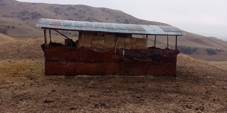 Двух жителей Узгена наказали за захват пастбища и порчу почвы изображение публикации