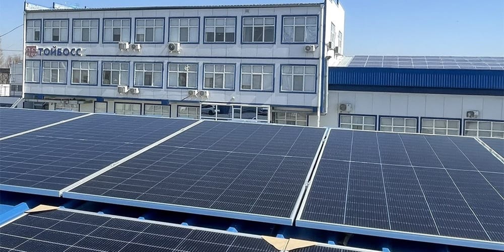 От традиций к инновациям: как «Тойбосс» заботится об экологии изображение публикации