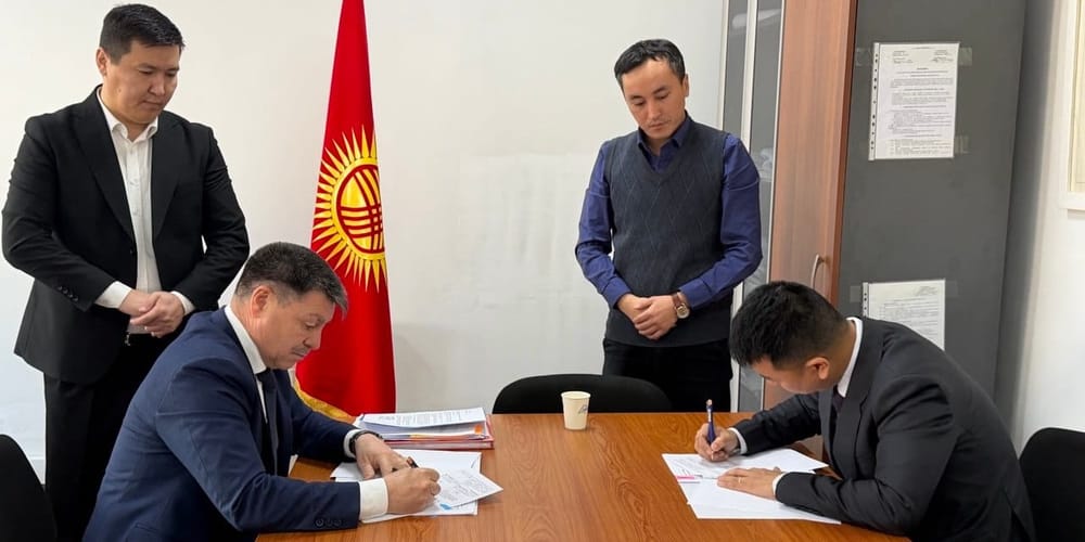 Китайский Dongfang Electric поможет Кыргызстану в реализации проектов ВИЭ изображение публикации