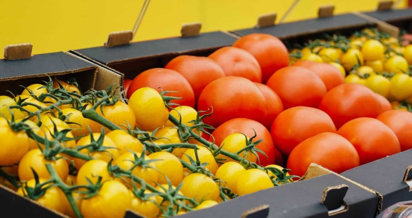 Кыргызстан на четверть увеличил поставки сельхозпродукции в Китай, – президент изображение публикации