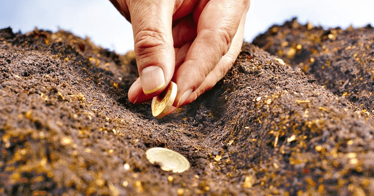 Деньги из региональных фондов могут направить на поддержку фермеров и переработчиков. Это 126 млн сомов изображение публикации
