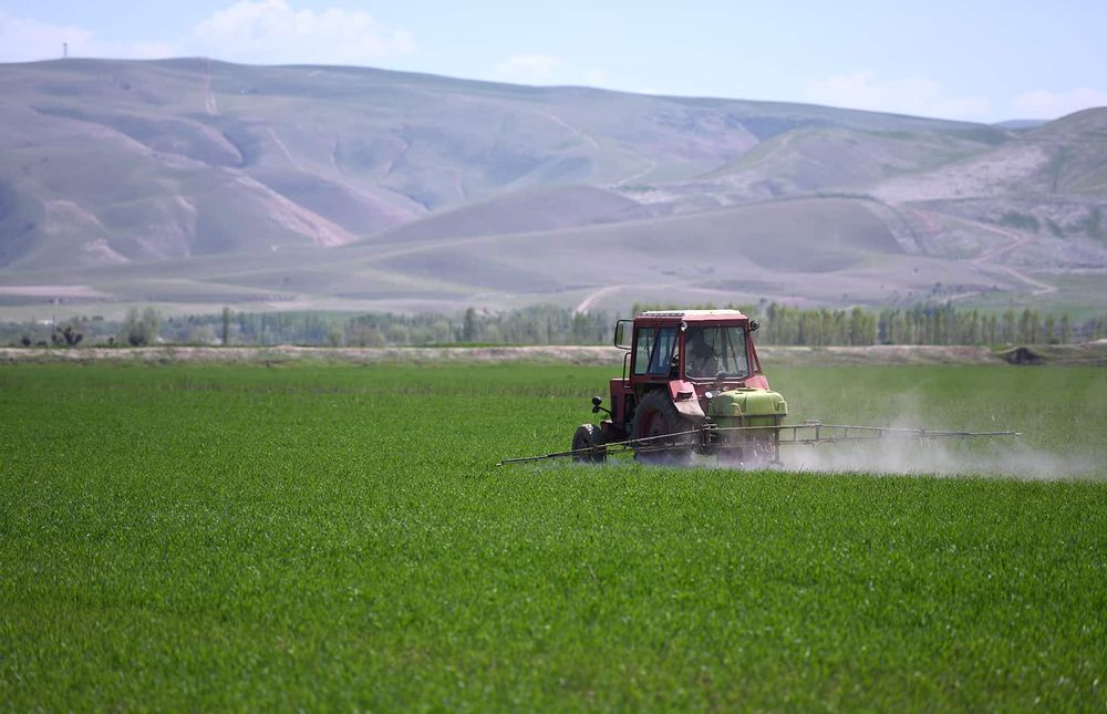 Фермеры и крестьяне на три года освобождены от уплаты земельного налога изображение публикации
