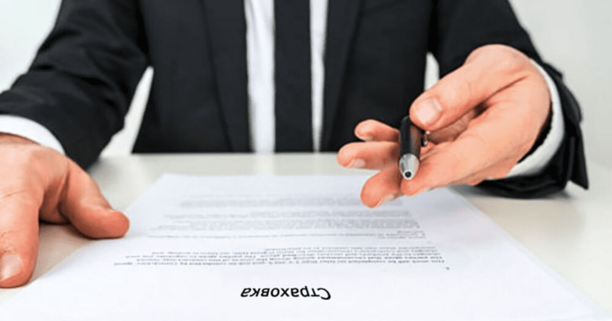 Госфиннадзор предложил временно снизить требования к страховым организациям изображение публикации