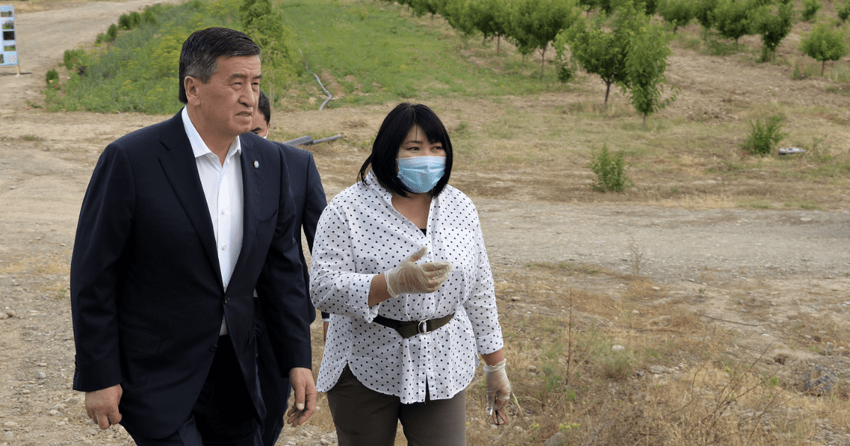 На юге построят цех по переработке фруктов. Проект показали Жээнбекову. ФОТО изображение публикации