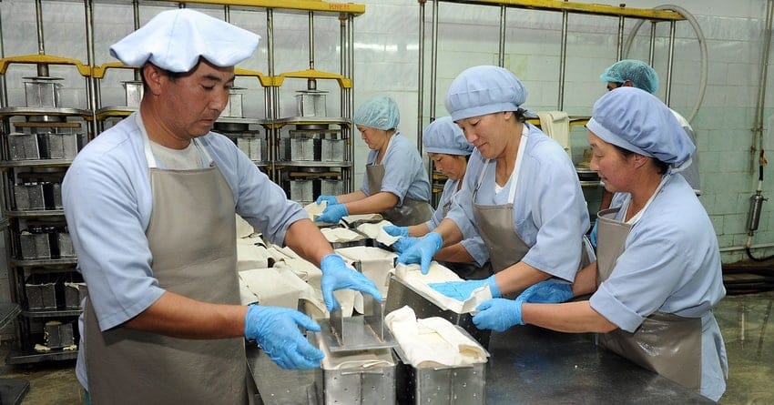 Гарантийная поддержка предпринимателей позволила создать 3 тысячи рабочих мест — «Гарантийный фонд» изображение публикации