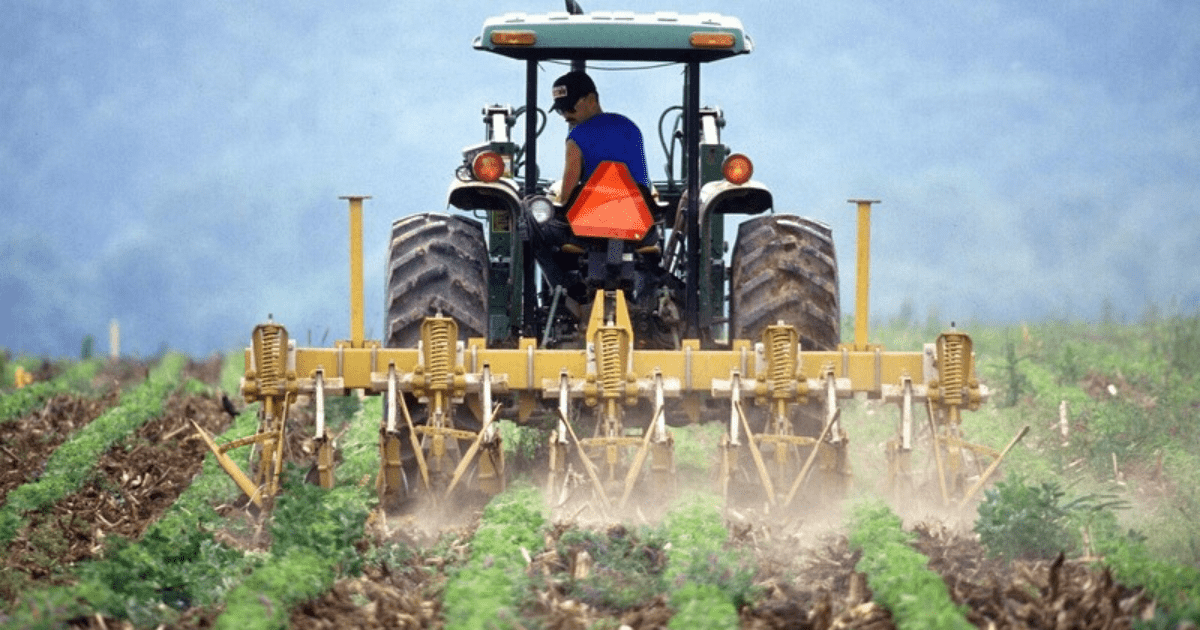 В этом году фермерам выдали в 2 раза меньше льготных кредитов, чем планировали изображение публикации