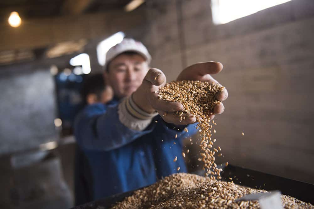 Вклад «Альянс Алтына» помог выдать почти 2 тысячи льготных кредитов в Таласской области изображение публикации