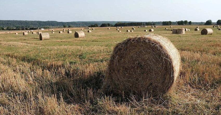 Карты сельхозугодий КР оцифруют к концу года. Это позволит следить за состоянием земель онлайн изображение публикации