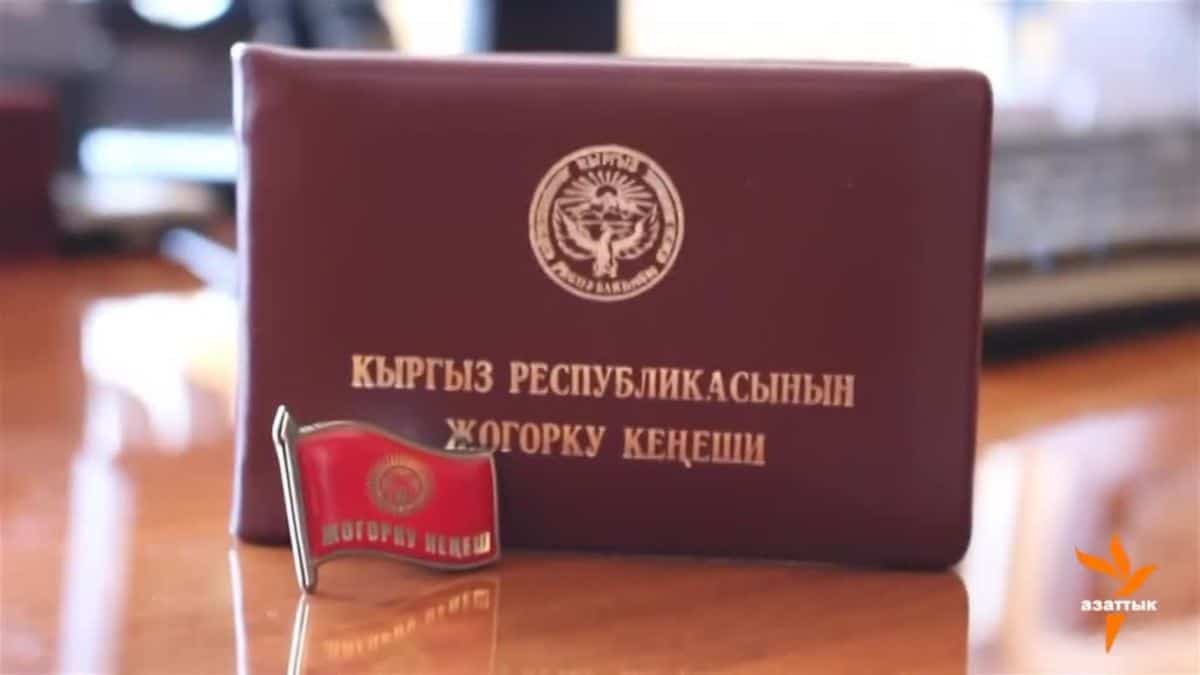 Я могу стать депутатом? А мне дадут машину с водителем? Все о требованиях к депутатам и их привилегиях изображение публикации