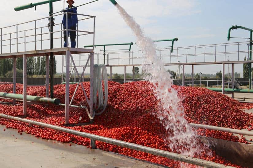 «Томат КейДжи» довел экспорт томатной пасты в Узбекистан до $1 млн изображение публикации