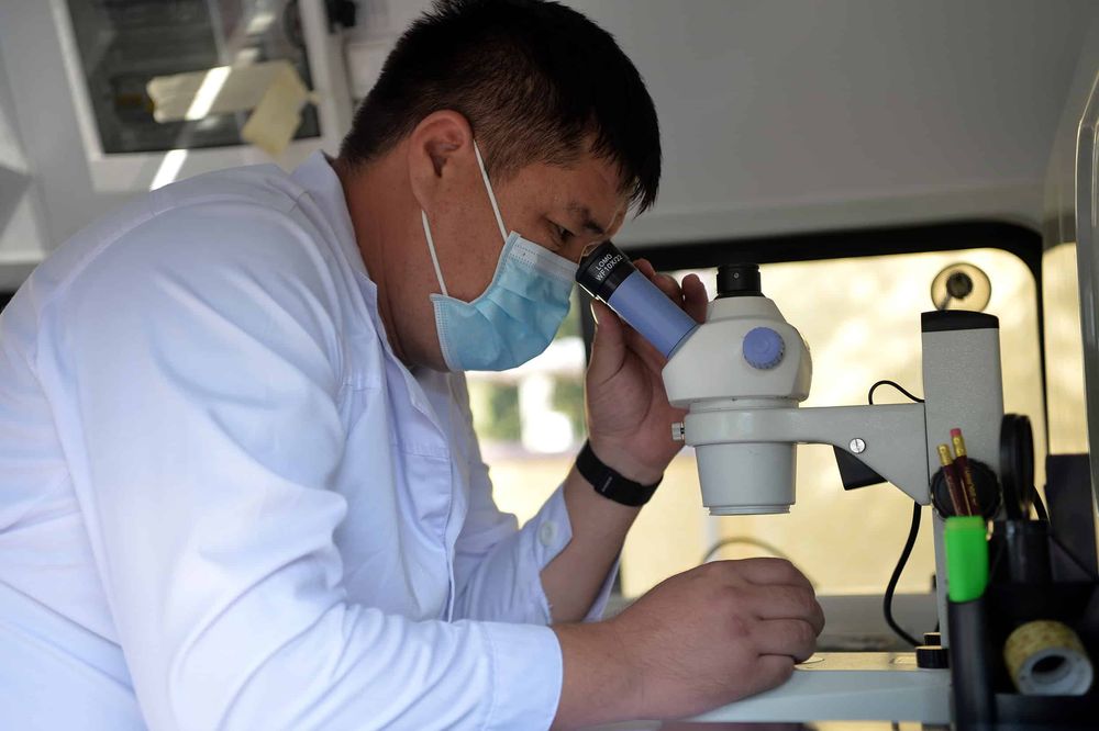 В Оше открылась лаборатория по контролю качества сельскохозяйственных культур. ФОТО изображение публикации