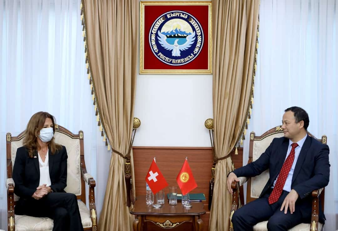 Глава МИД обсудил с послом Швейцарии предоставление дальнейшей помощи изображение публикации