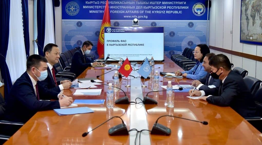 ФАО инвестирует $50 млн в леса и пастбища Кыргызстана изображение публикации