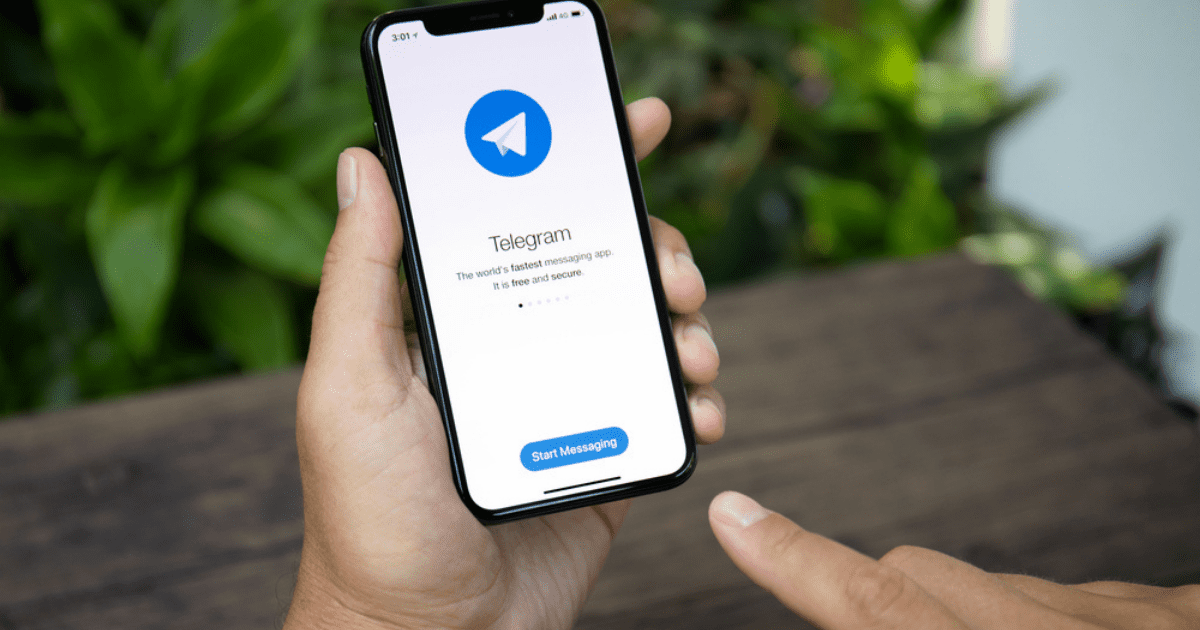 Минсельхоз запустил телеграм-бота для фермеров изображение публикации