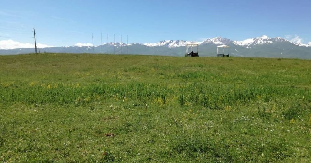 Сарпашев вернул государству более 500 га земли после возбуждения уголовного дела изображение публикации