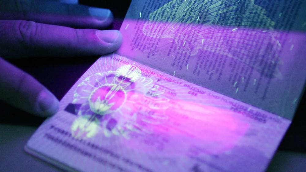 Правительству рекомендовали внедрить электронные паспорта и водительские права до 1 мая изображение публикации