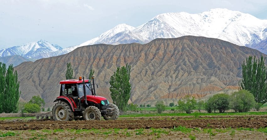 Не вижу результатов — премьер поручил активнее работать над агропромышленной отраслью изображение публикации