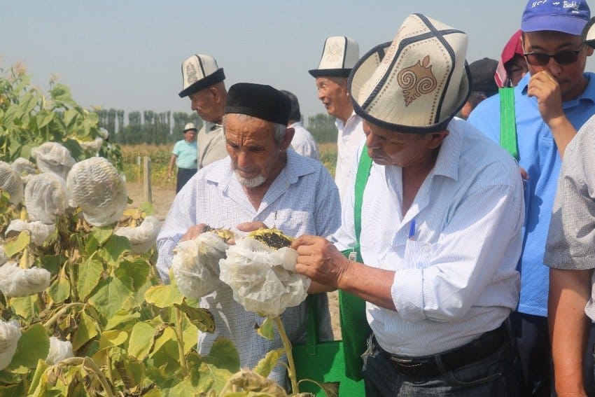 Всемирный банк выделил $25.5 млн на товарные кредиты для фермеров Оша изображение публикации