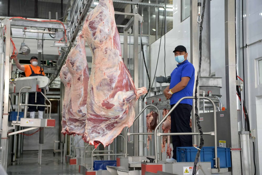 В Караколе запустили крупнейший в Кыргызстане мясокомбинат. ФОТО изображение публикации