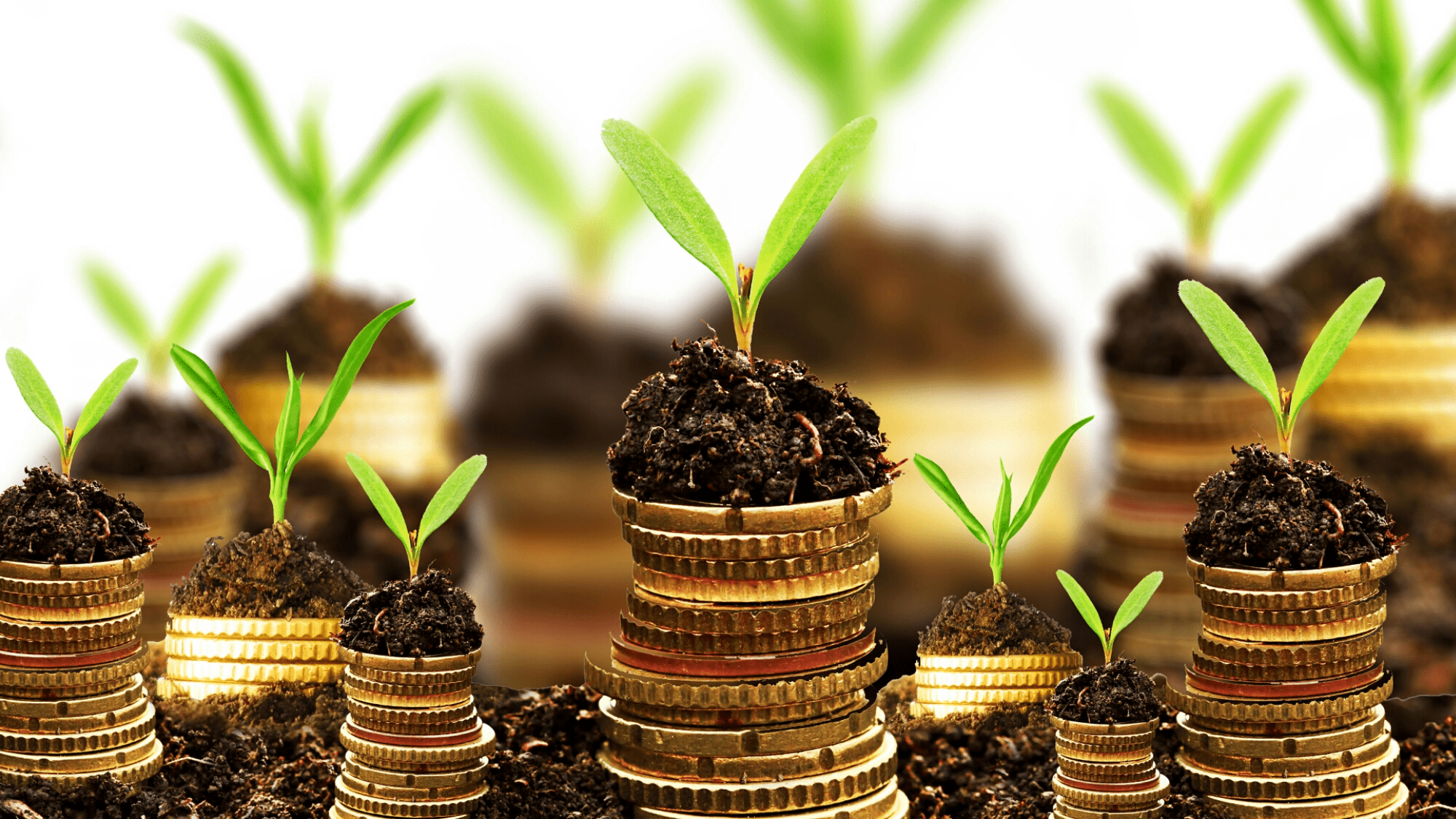 Новый Налоговый кодекс будет поощрять бизнес внедрять экологические стандарты изображение публикации