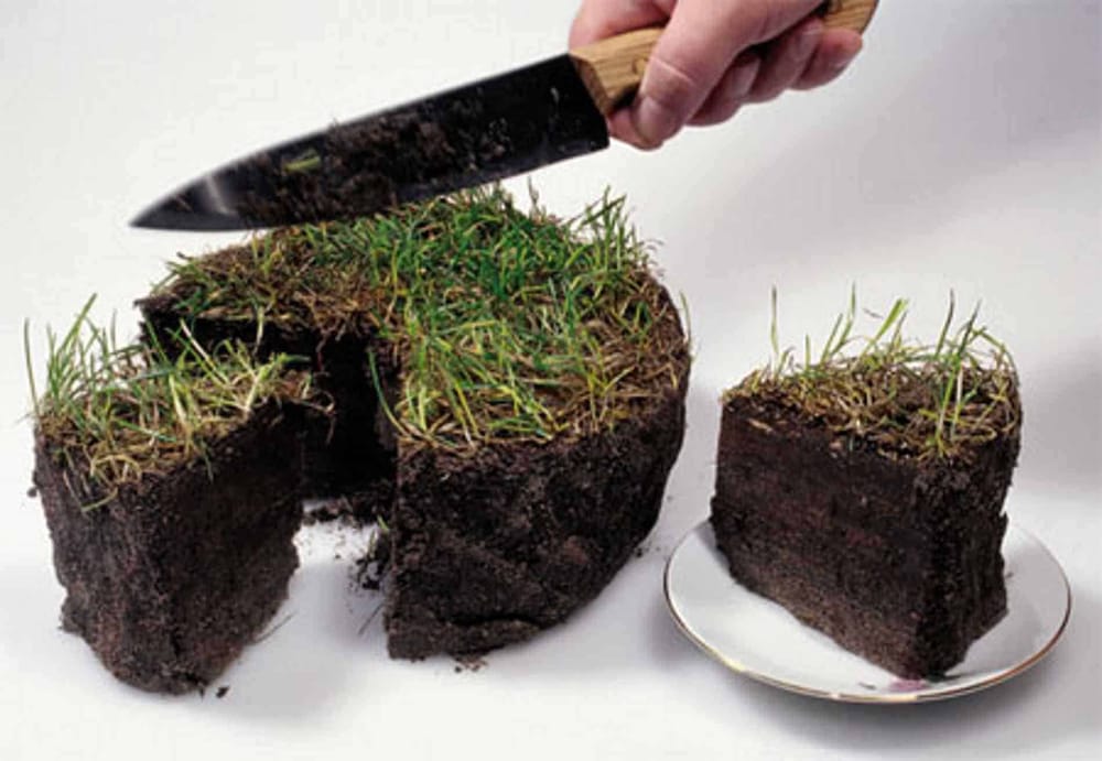 Муниципальных чиновников подозревают в незаконной выдаче земельных участков в Бишкеке изображение публикации