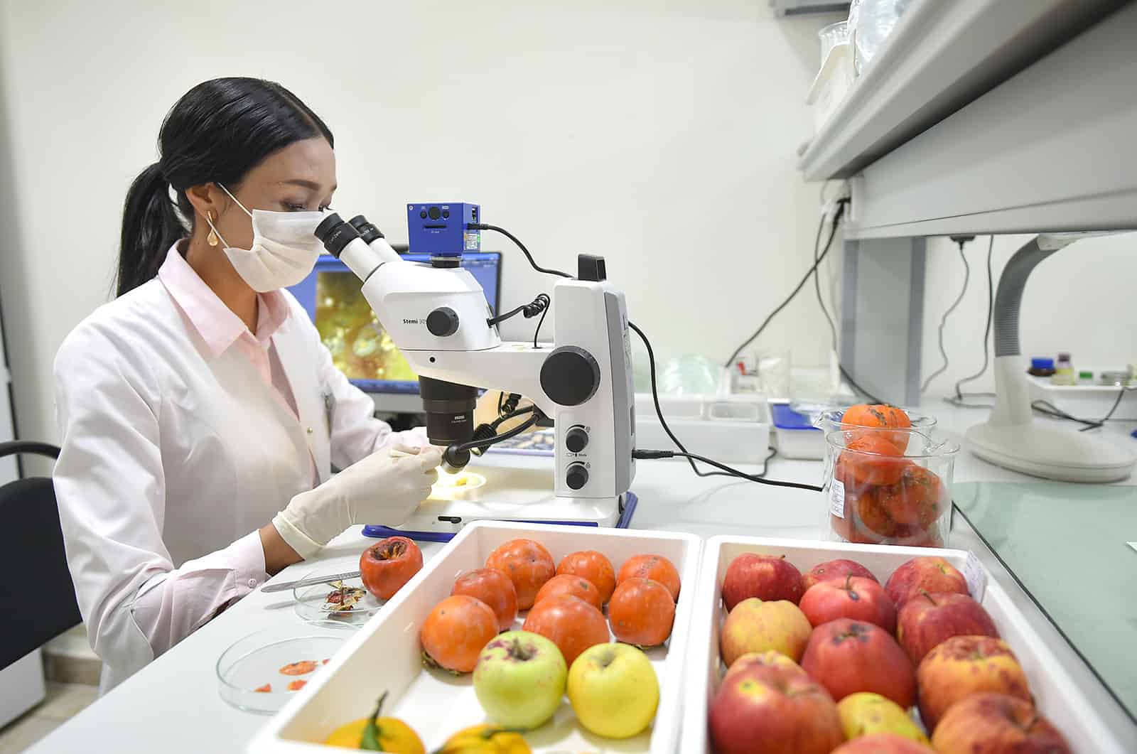 Минсельхоз намерен развивать сертификацию международного уровня изображение публикации