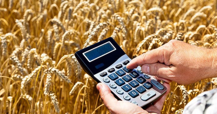 Засушливое лето и коронавирус — в КР предложили продлить запрет на экспорт сельхозтоваров изображение публикации