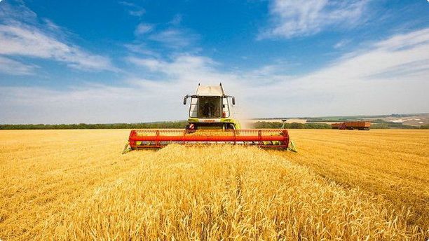 Власти дополнительно выделили 4.4 млрд сомов на финансирование сельского хозяйства изображение публикации