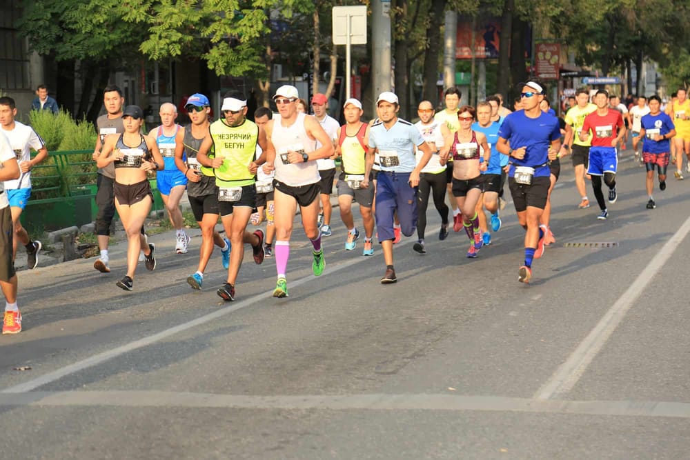Масштабный благотворительный забег «Сохраним снежного барса» пройдет в Бишкеке 26 сентября изображение публикации