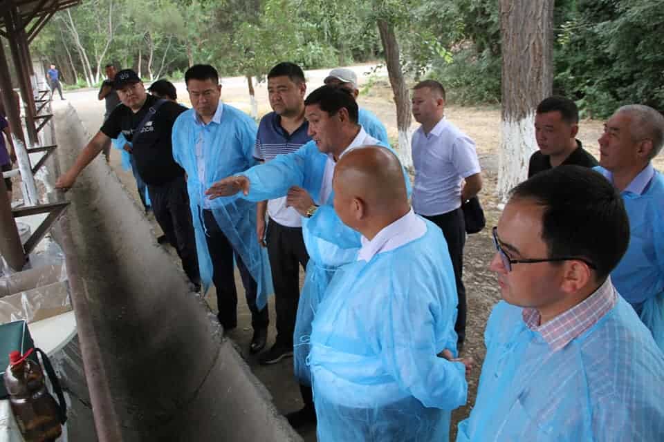 Предприниматели открыли карантинные станции для импортируемого скота изображение публикации