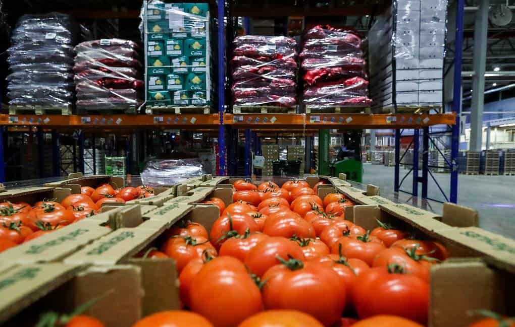 Кыргызстан перерабатывает только 17% сельхозпродукции — треть оставшихся продуктов портится изображение публикации