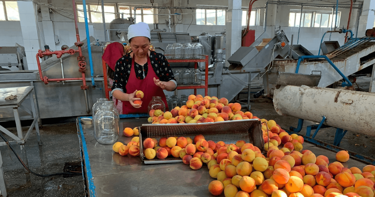 Министерство инвестиций подготовит инвестиционные паспорта приоритетных предприятий КР изображение публикации