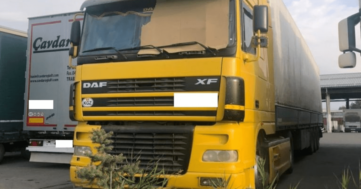 Сотрудники таможни задержаны за контрабанду изображение публикации