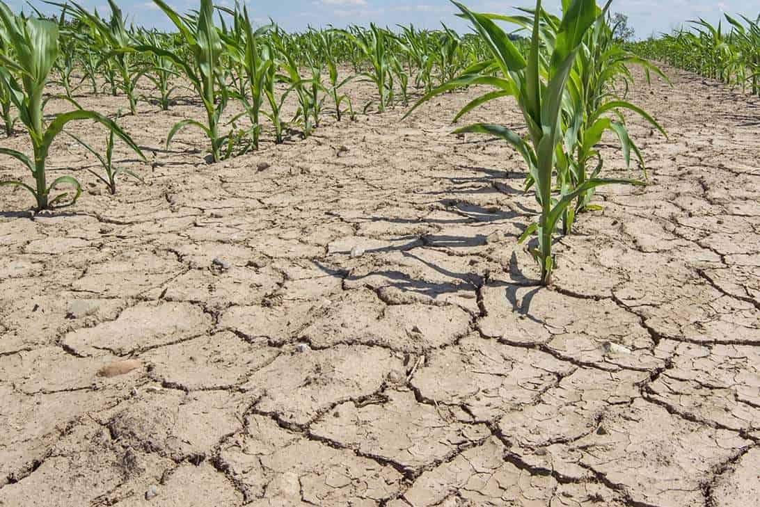 Нет поливной воды, можем остаться без урожая — баткенцы обратились к президенту изображение публикации