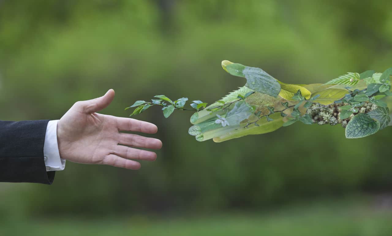 Мэрии Бишкека предложили выпустить «зеленые» облигации изображение публикации