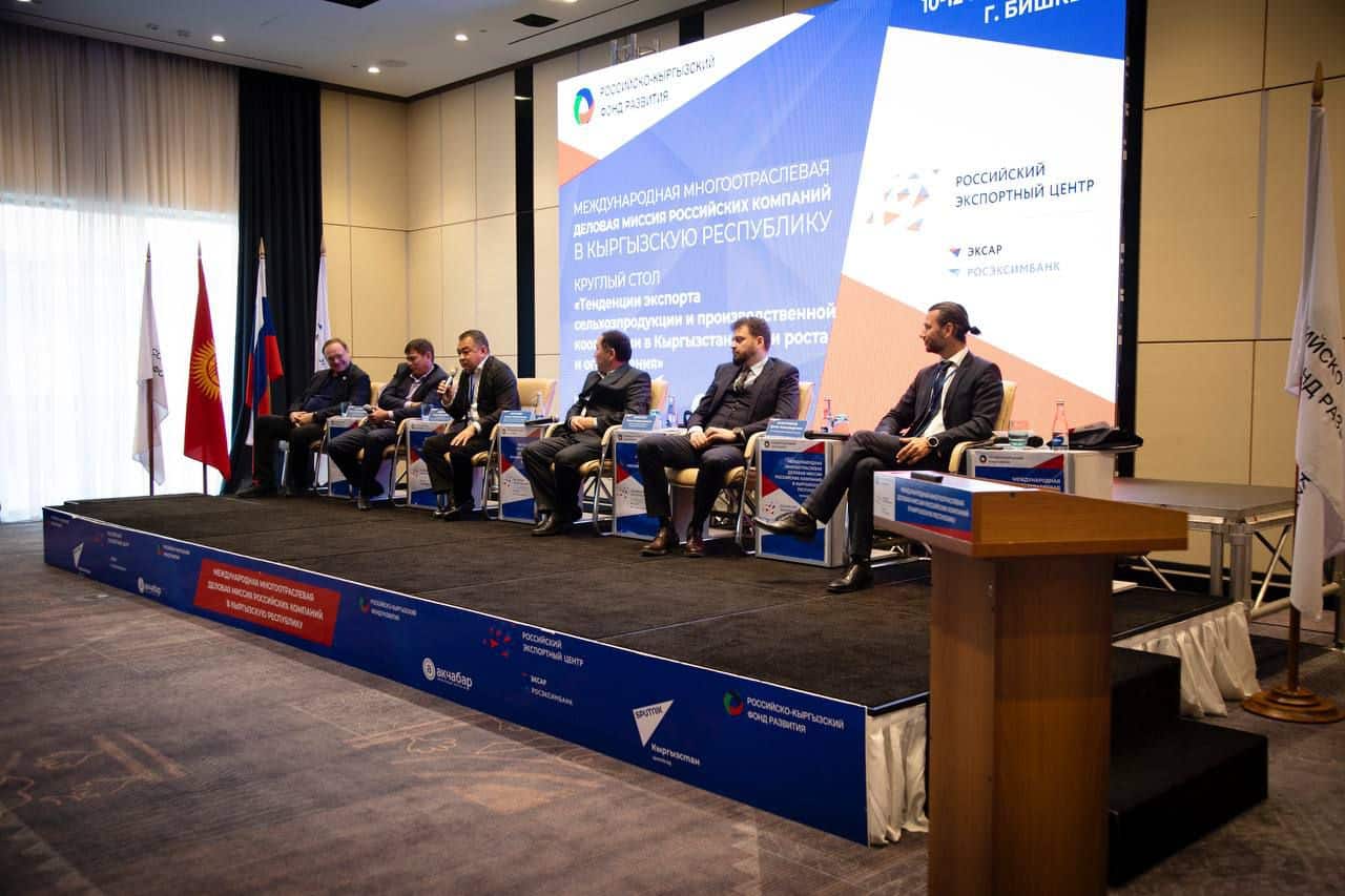 «Российский экспортный центр» внедрит льготное финансирование для поставщиков товаров в Кыргызстан изображение публикации