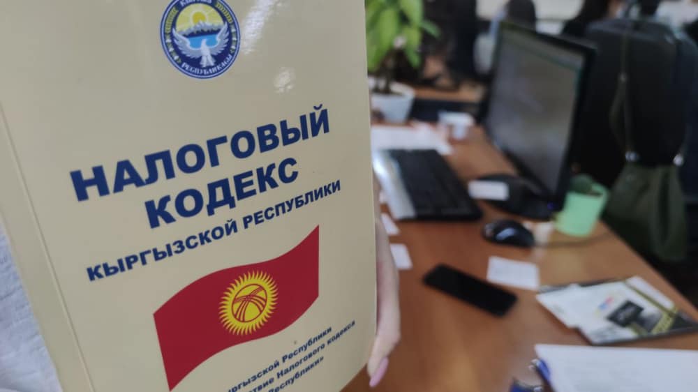 Бекешев: Новый кодекс превращает Налоговую службу в правоохранительный орган изображение публикации